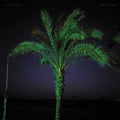 Sand Enigma [LP] Vinyl Record