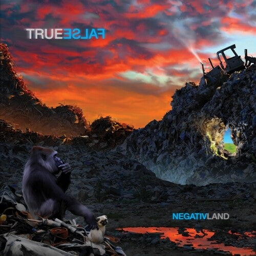 Negativland - True False - Vinyl Record