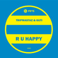 Tripmastaz & Guti - R U Happy - Vinyl Record