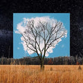 Fink - Bloom Innocent - Music CD