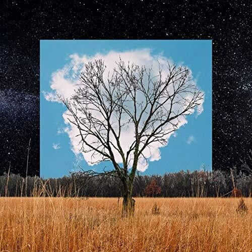 Fink - Bloom Innocent - Music CD