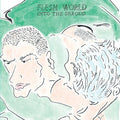 Flesh World - Into The Shroud - Vinyl Record