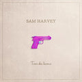 Harvey,sam - Tirer Des Lecons - Music CD