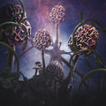 Blut Aus Nord - Hallucinogen - Music CD