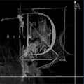 Dodfood - Stigma - Vinyl Record