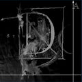 Stigma [LP] Vinyl Record