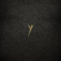 Pop Group - Y (definitive Edition) - Vinyl Record