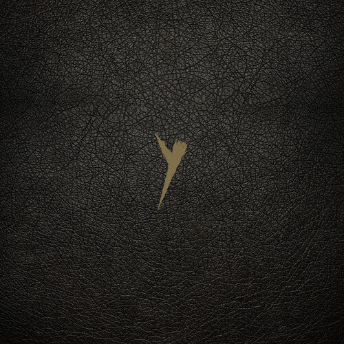 Pop Group - Y (definitive Edition) - Vinyl Record