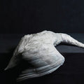 Amenra - Mass Vi - Music CD