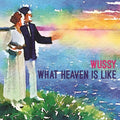 Wussy - What Heaven Is Like - Vinyl Record