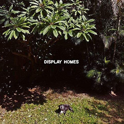 Display Homes - Climate Change - Vinyl Record