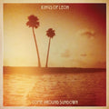 Kings Of Leon - Come Around Sundown - Vinyl Record