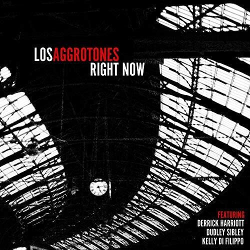 Los Aggrotones - Right Now - Vinyl Record