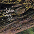 Rainforest Spiritual Enslavement - Ambient Black Magic - Music CD