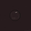 Survive - Rr7387 Remix Record - Vinyl Record