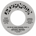 Crystal Motion - You're My Main Squeeze - Vinyl Record