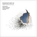 Indigo Kid - Moment Gone In Clouds - Music CD