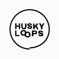Husky Loops - Ep2 - Vinyl Record