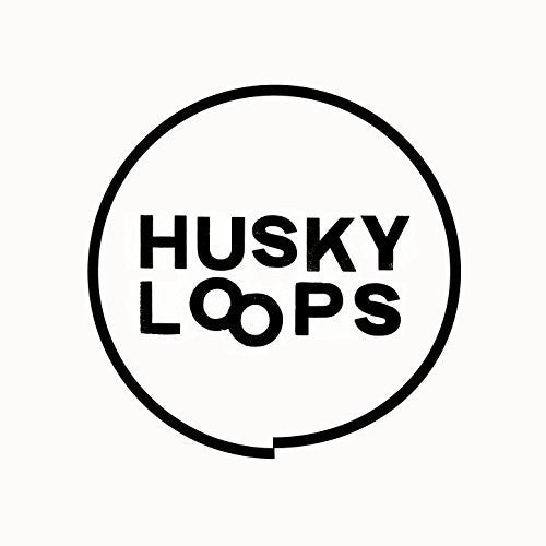 Husky Loops - Ep2 - Vinyl Record
