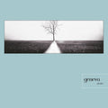 Geneva - Further - Vinyl Record