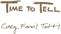Tutti,cosey Fanni - Time To Tell - Vinyl Record