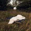 Hippo Campus - Warm Glow - Vinyl Record