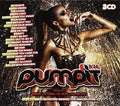 Pump It Vol 14 / Various - Pump It Vol 14 / Various - Music CD