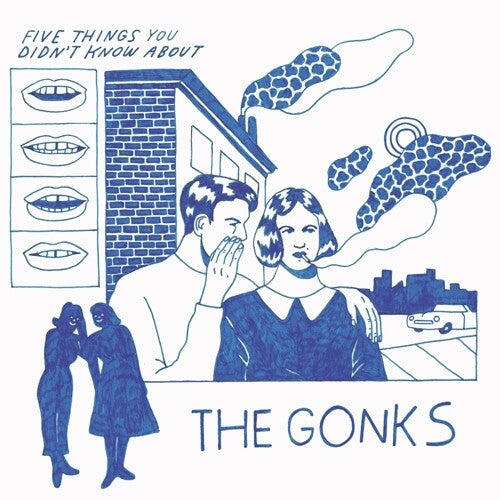 Gonks - Five Things You Didn't Know About The Gonks - Vinyl Record