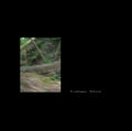 Oval Language - Waldkonzerte - Vinyl Record