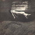 Evans,bill / Hall,jim - Undercurrent - Vinyl Record