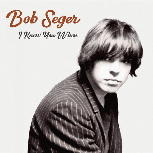 Seger,bob - I Knew You When - Vinyl Record