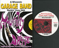 Mourning Dayze - Wisconsin Garage Band - Books