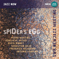 Spider's Egg / Various - Spider's Egg / Various - Music CD