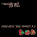 Mentallo & Fixer - Arrange The Molecule - Music CD