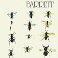 Barrett,syd - Barrett - Vinyl Record
