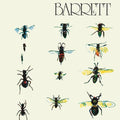 Barrett Vinyl Record