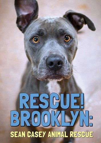 Rescue Brooklyn - Rescue Brooklyn - DVD