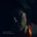 Last Leaves - Other Towns Than Ours - Music CD