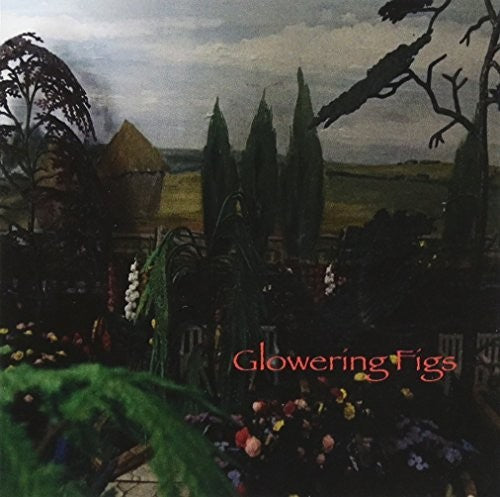 Glowering Figs - Glowering Figs - Music CD