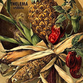 Thelema - Stilllife / O.s.t. - Vinyl Record