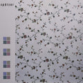Derive [LP] Vinyl Record