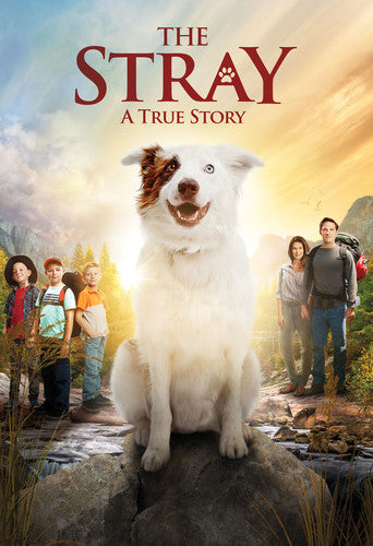 Stray - Stray - DVD