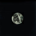 Rosa,sam De La - Earth Wart - Vinyl Record