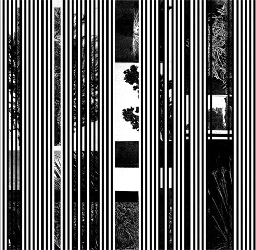 Meginsky,jake - Basslines - Vinyl Record