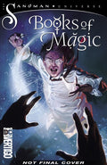 Howard,kat - Books Of Magic Vol 2 Second Quarto - Books