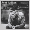 Avidan,asaf - Study On Falling - Music CD