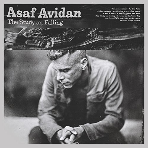 Avidan,asaf - Study On Falling - Music CD