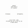 Floorplan - Fiyaaaa / His Eye Is On The Sparrow - Vinyl Record