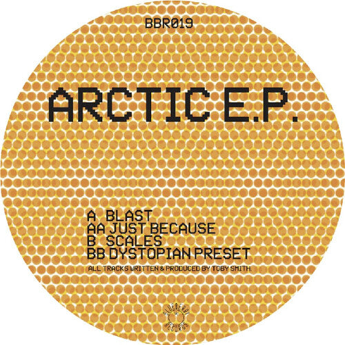 Secret Static - Arctic - Vinyl Record