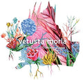 Vetusta Morla - Mismo Sitio Distinto Lugar - Music CD